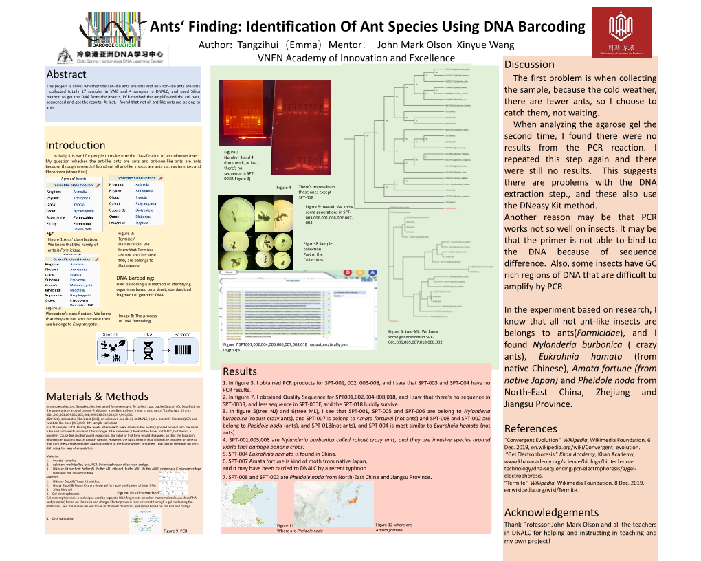 DNA Barcoding Poster