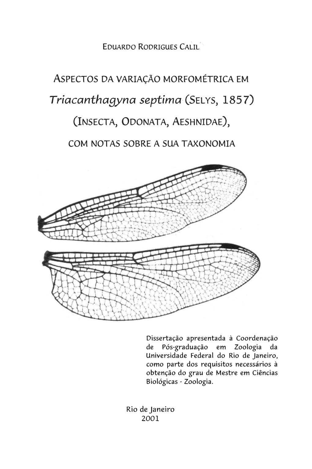 Triacanthagyna Septima- (SELYS, 185 7)