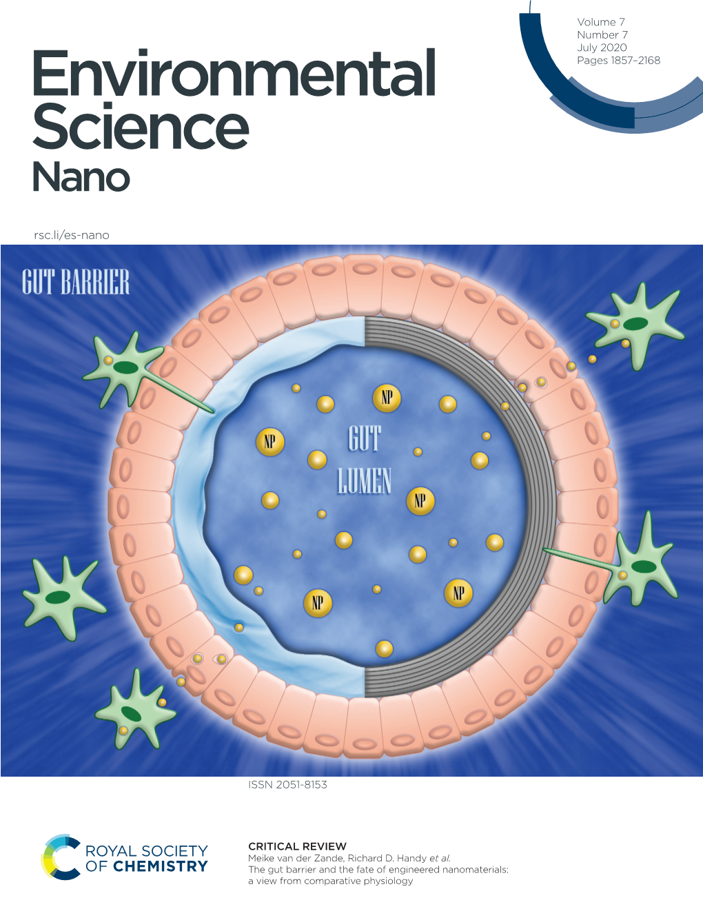 The Gut Barrier and the Fate of Engineered Nanomaterials: a View from Comparative Physiology Environmental Science Nano