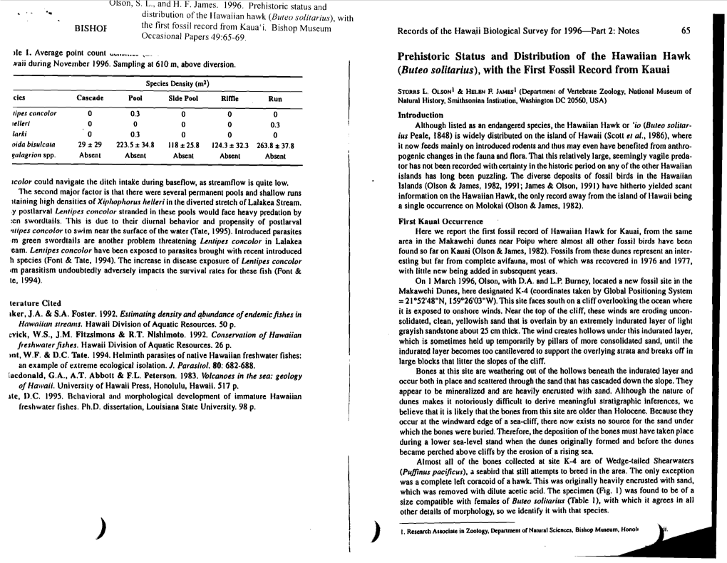 Prehistoric Status and Distribution of the Hawaiian Hawk (Buteo Solitarius), with the First Fossil Record from Kauai