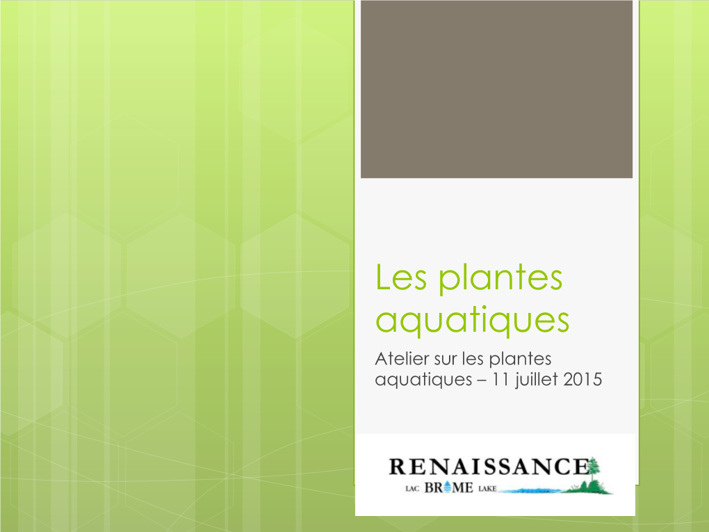 Les Plantes Aquatiques Atelier Sur Les Plantes Aquatiques – 11 Juillet 2015 Présentation