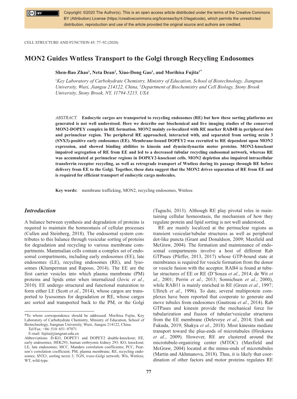 MON2 Guides Wntless Transport to the Golgi Through Recycling Endosomes