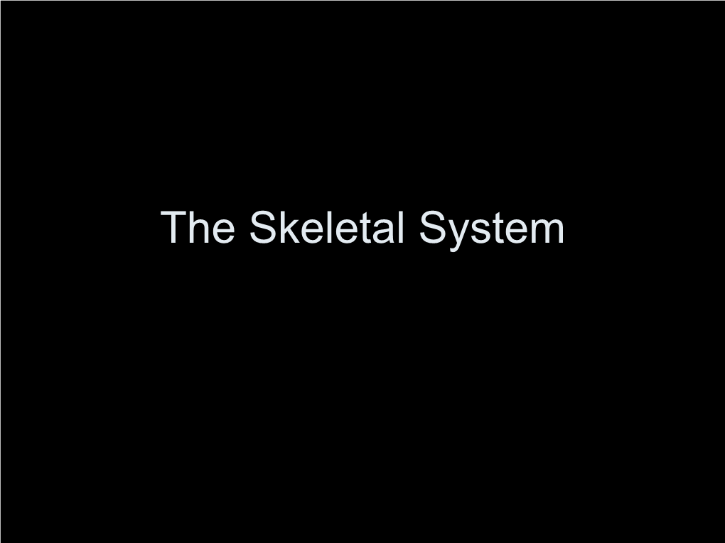 The Skeletal System Appendicular Skeleton