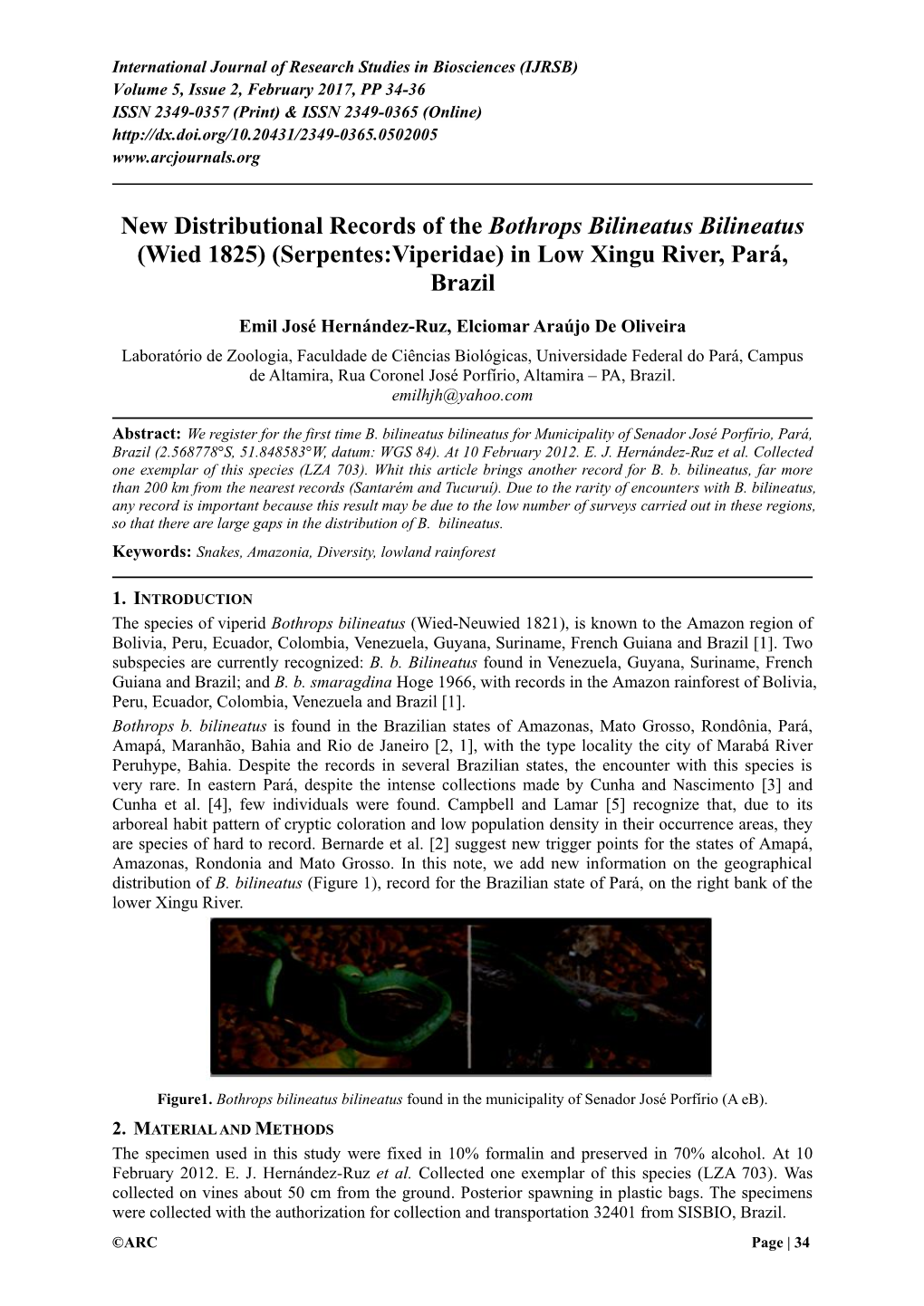 New Distributional Records of the Bothrops Bilineatus Bilineatus (Wied 1825) (Serpentes:Viperidae) in Low Xingu River, Pará, Brazil