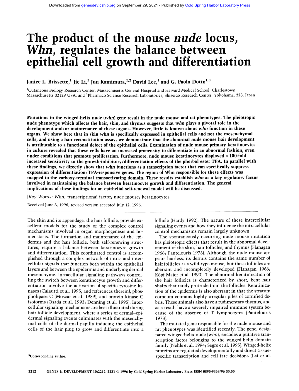 Whn, Regulates the Balance Between Epithelial Cell Growth and Differentiation