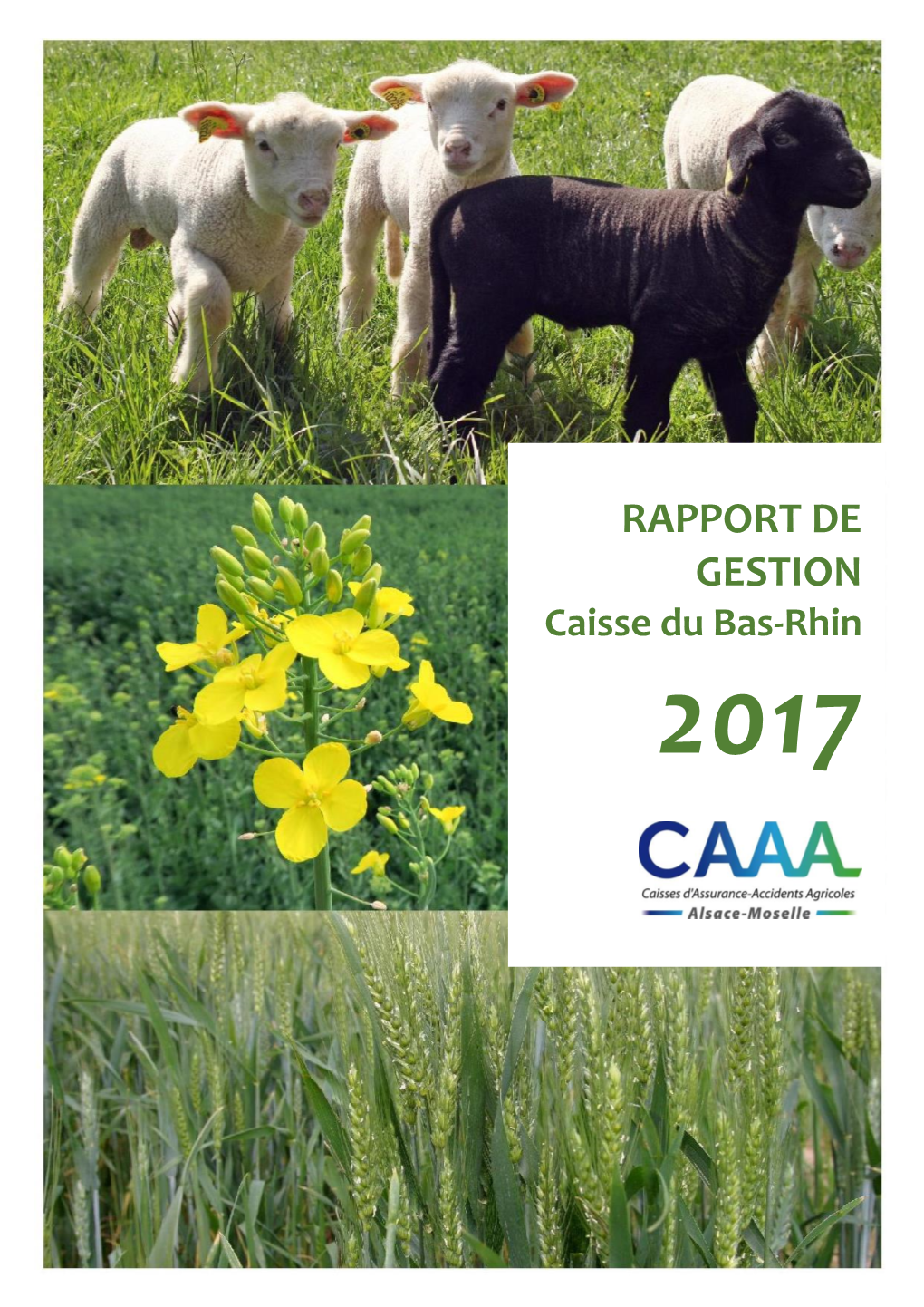 RAPPORT DE GESTION Caisse Du Bas-Rhin 2017