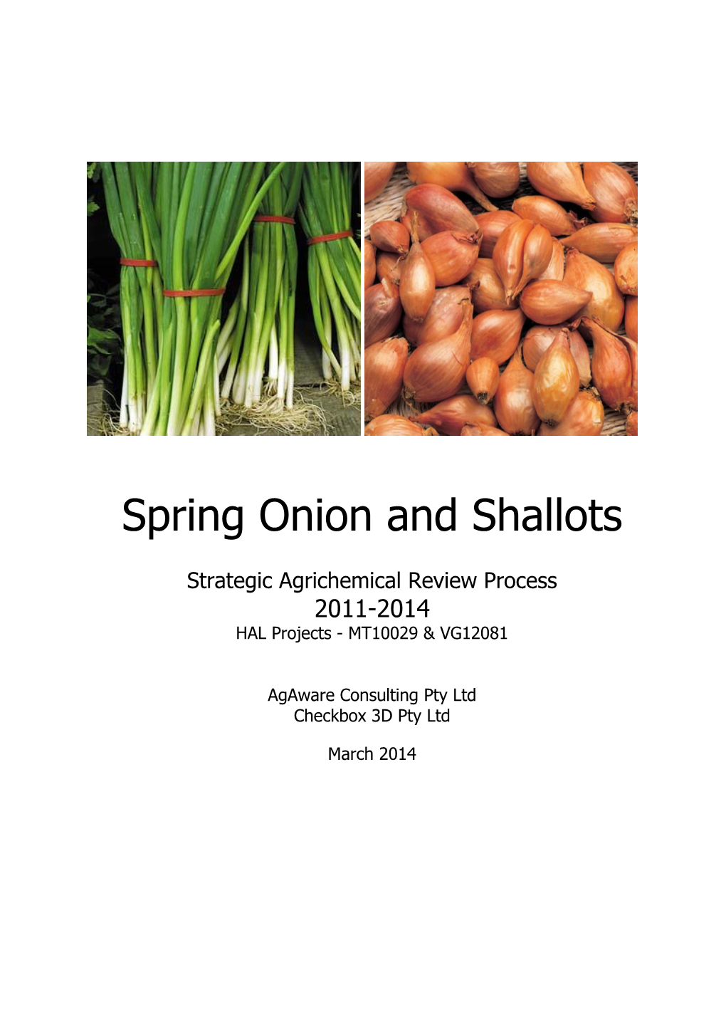 Spring Onion and Shallots