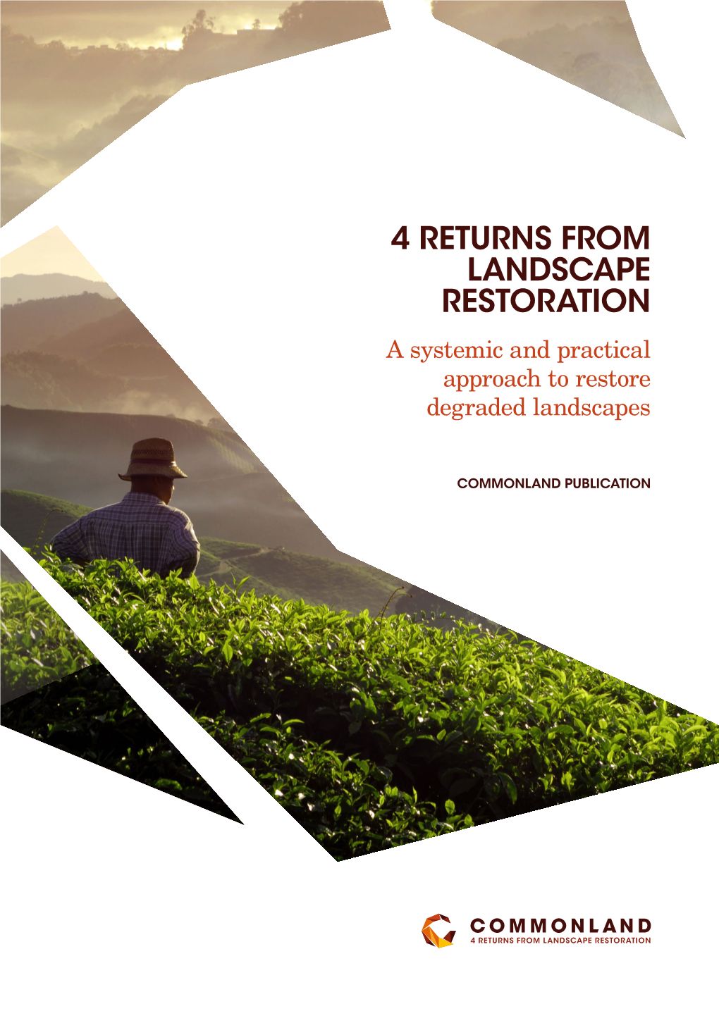 4 Returns from Landscape Restoration Commonland Background