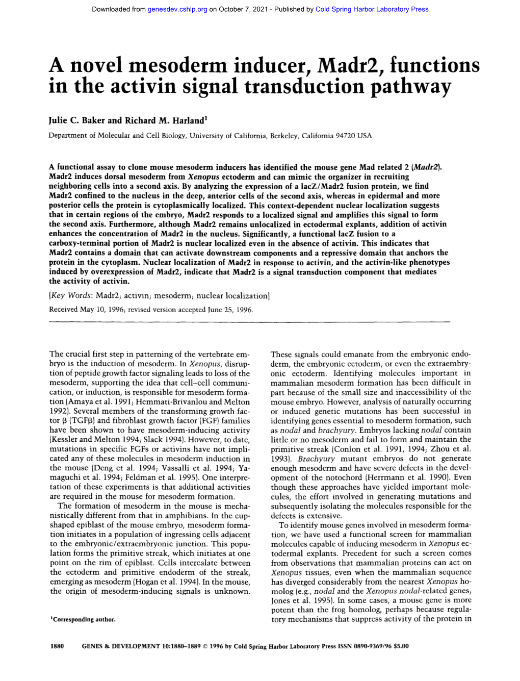 A Novel Mesoderm Inducer, Madr2, Functions in the Activin Signal Transduction Pathway