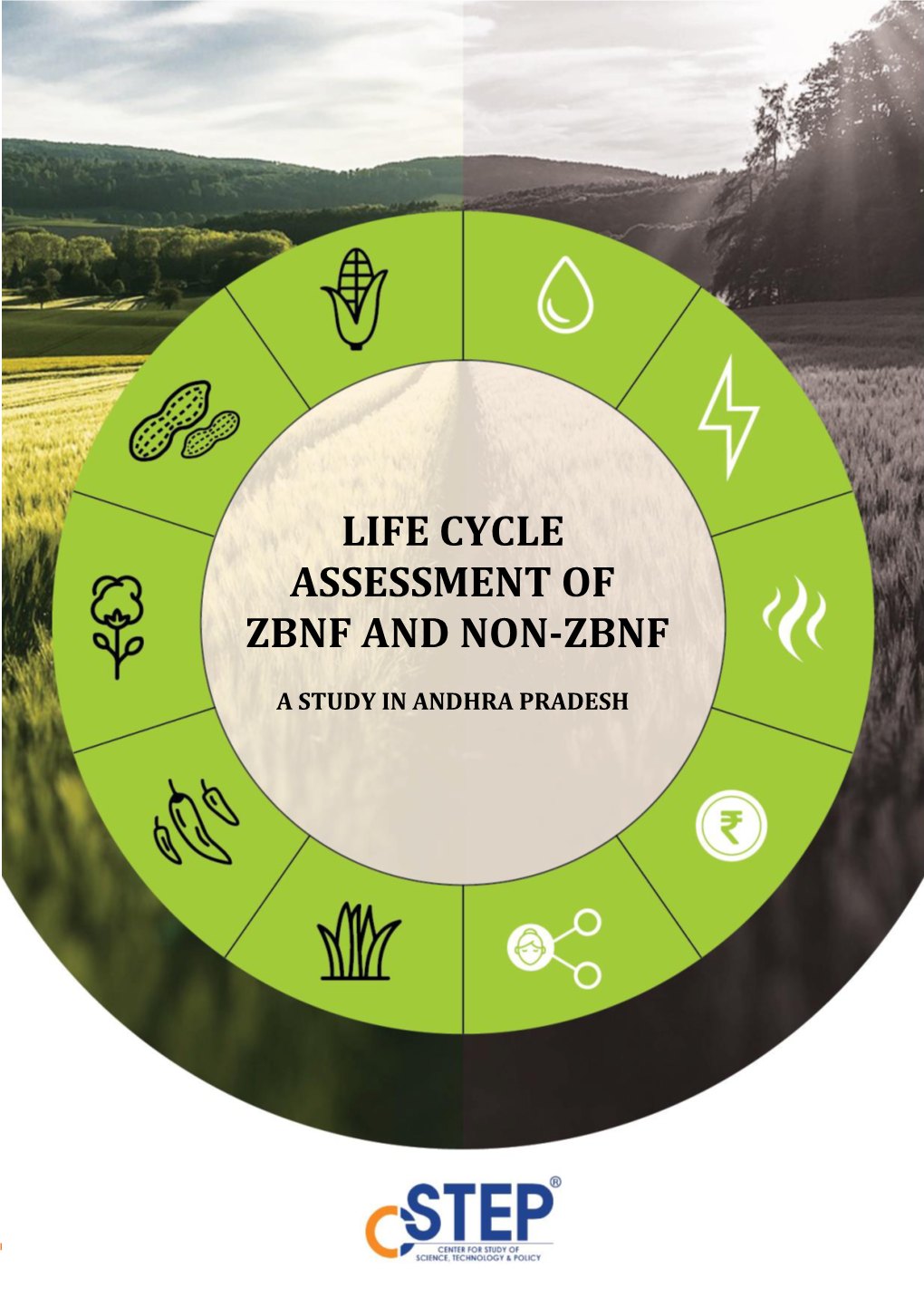 Life Cycle Assessment of Zbnf and Non-Zbnf