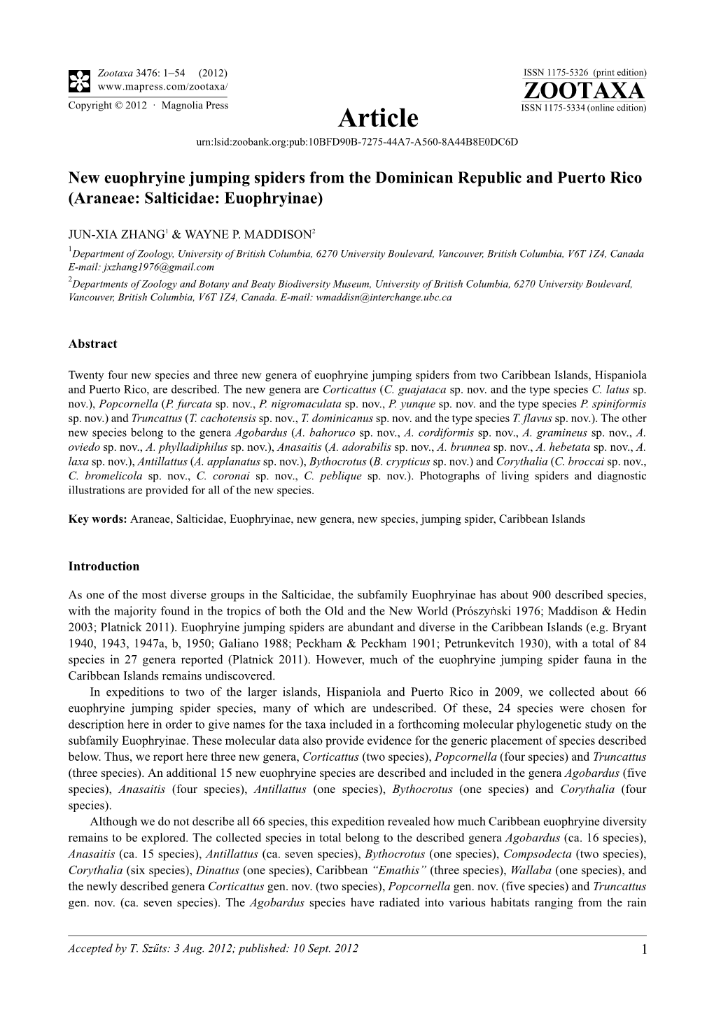 New Euophryine Jumping Spiders from the Dominican Republic and Puerto Rico (Araneae: Salticidae: Euophryinae)