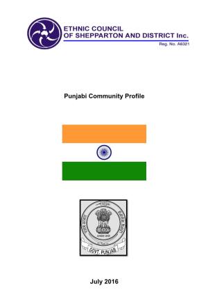 Download the Punjab Community Profile