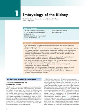 Embryology of the Kidney Rizaldy Paz Scott | Yoshiro Maezawa | Jordan Kreidberg | Susan E