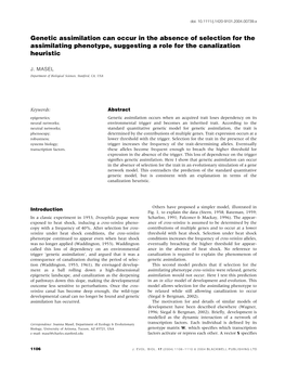 Genetic Assimilation Can Occur in the Absence of Selection for the Assimilating Phenotype, Suggesting a Role for the Canalization Heuristic