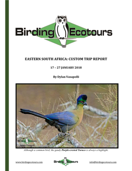Eastern South Africa: Custom Trip Report