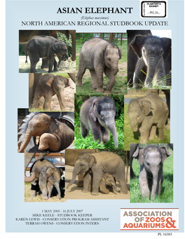 ASIAN ELEPHANT WC 36 (Elephas Maximus) NORTH AMERICAN REGIONAL STUDBOOK UPDATE