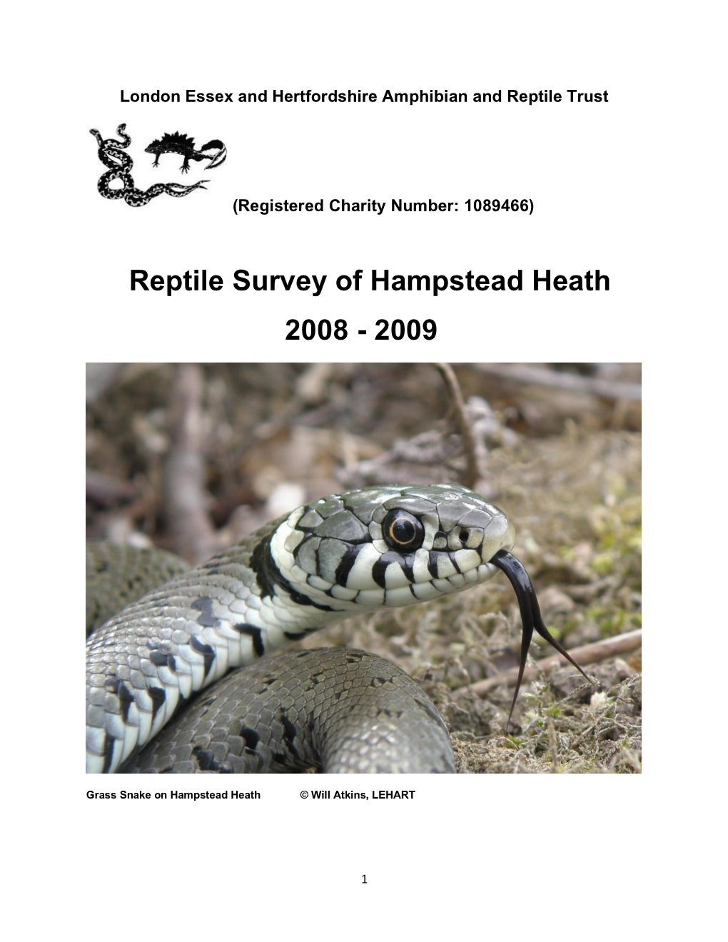 Reptile Survey of Hampstead Heath 2008