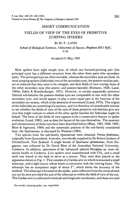 Short Communication Fields of View of the Eyes of Primitive Jumping Spiders by M