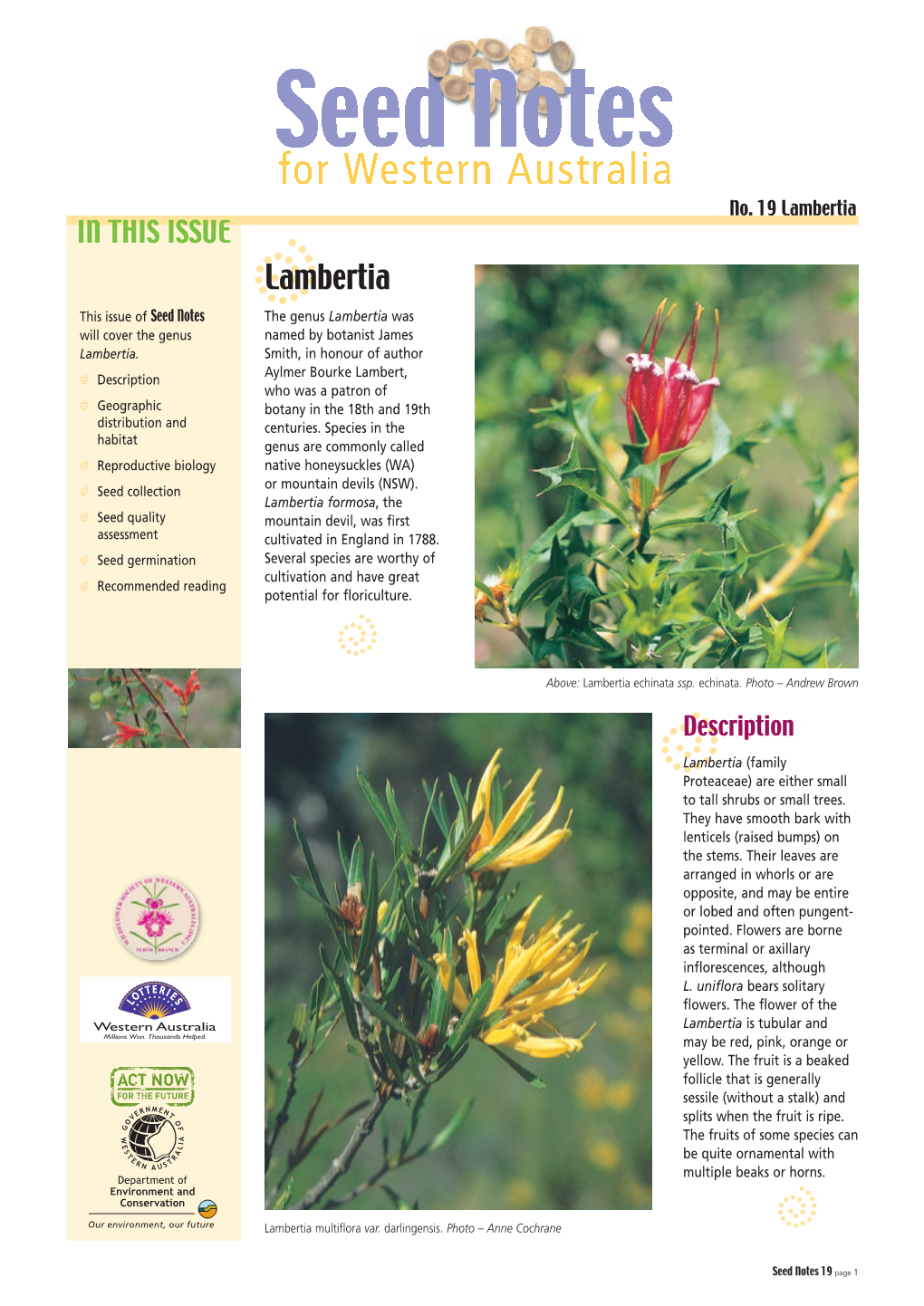 Lambertia in THIS ISSUE Dlambertia This Issue of Seed Notes the Genus Lambertia Was Will Cover the Genus Named by Botanist James Lambertia