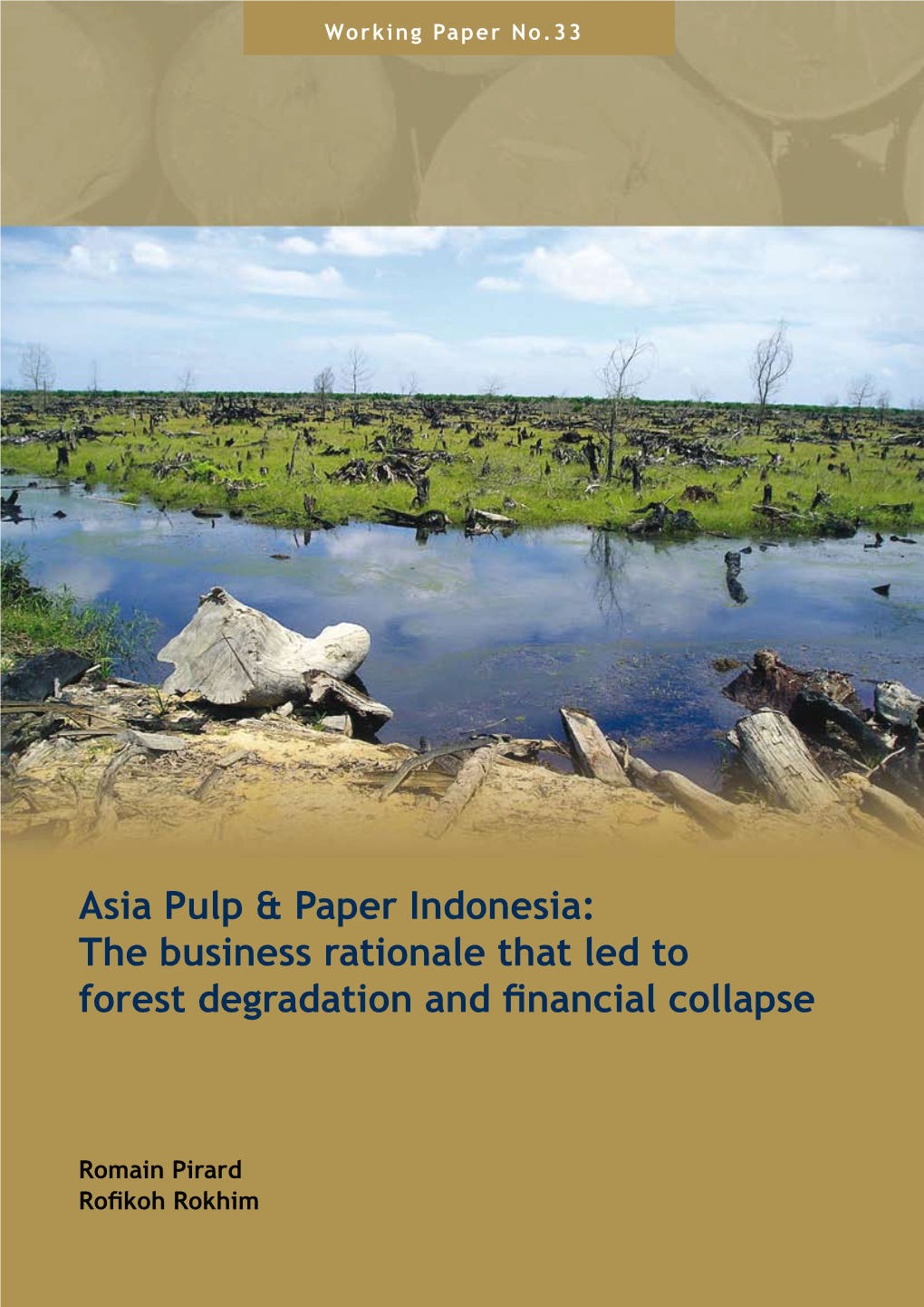 Asia Pulp & Paper Indonesia