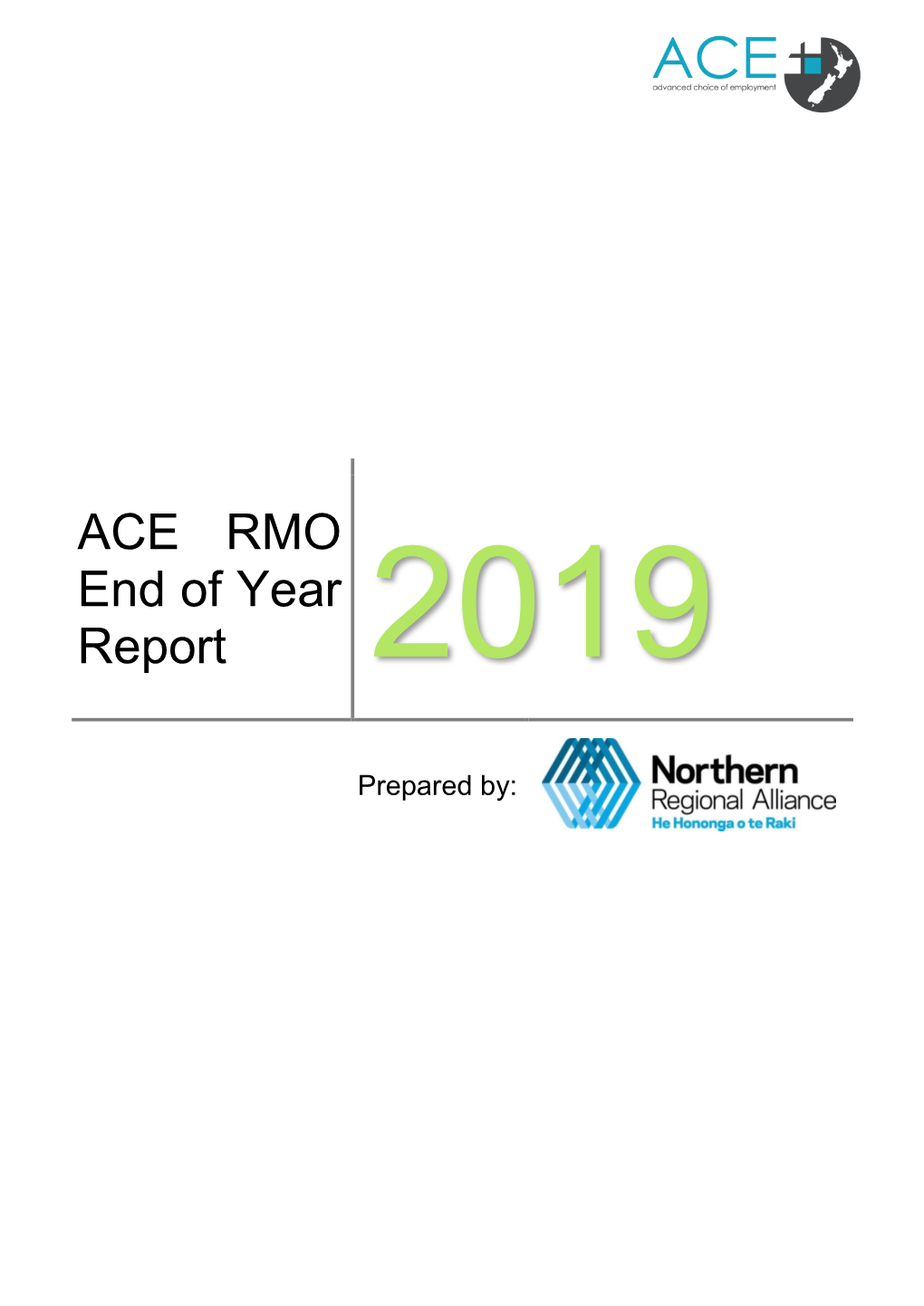 ACE RMO 2019 End of Year Report
