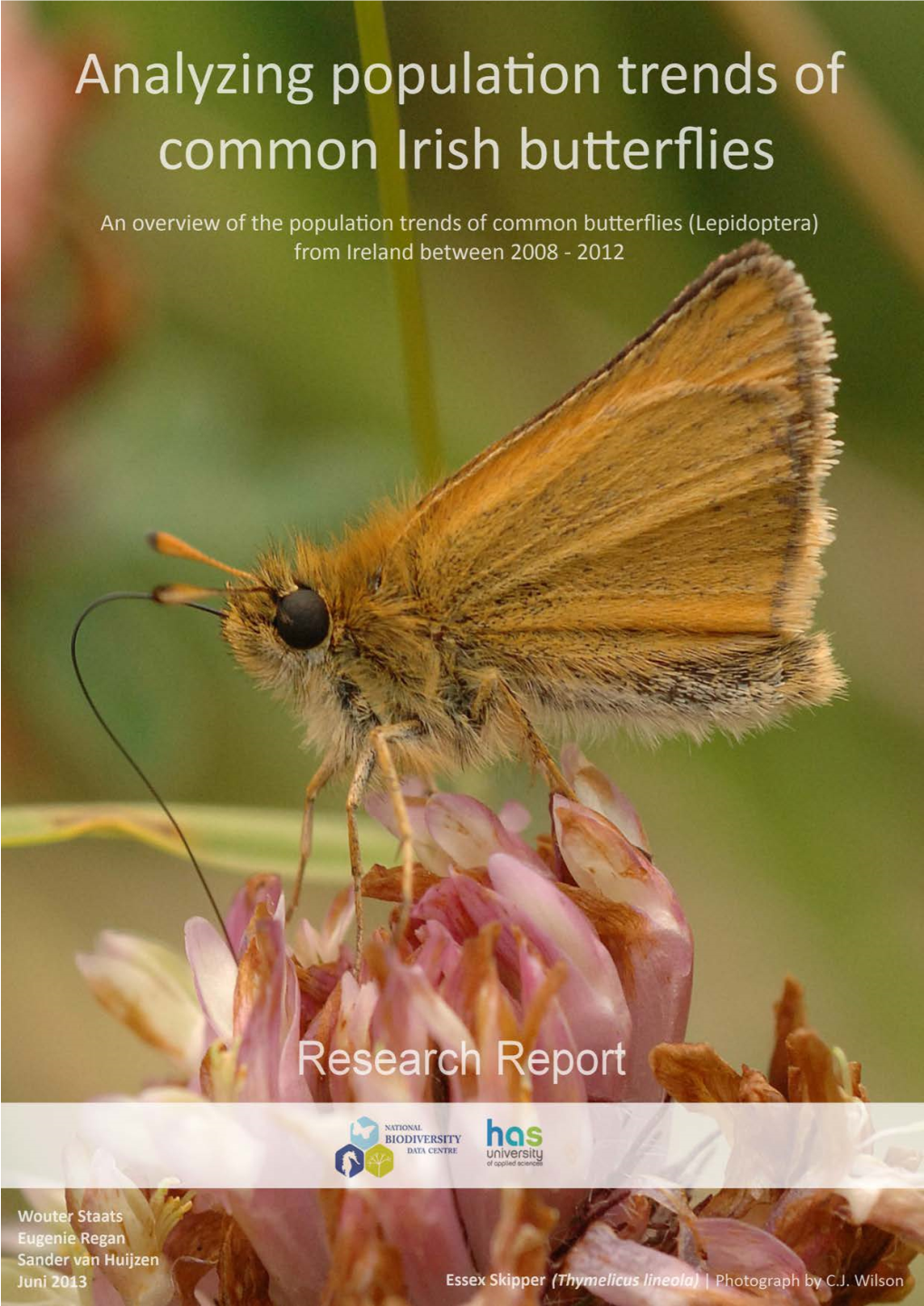 Analyzing Population Trends of Common Irish Butterflies