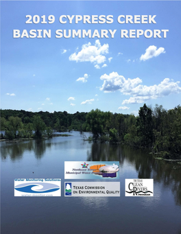 2019 Cypress Creek Basin Summary Report