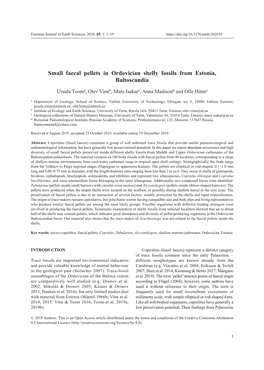 Small Faecal Pellets in Ordovician Shelly Fossils from Estonia, Baltoscandia