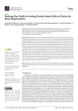 Sinking Our Teeth in Getting Dental Stem Cells to Clinics for Bone Regeneration