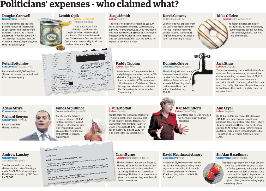 Politicians' Expenses