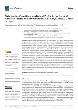 Galantamine Quantity and Alkaloid Profile in the Bulbs of Narcissus