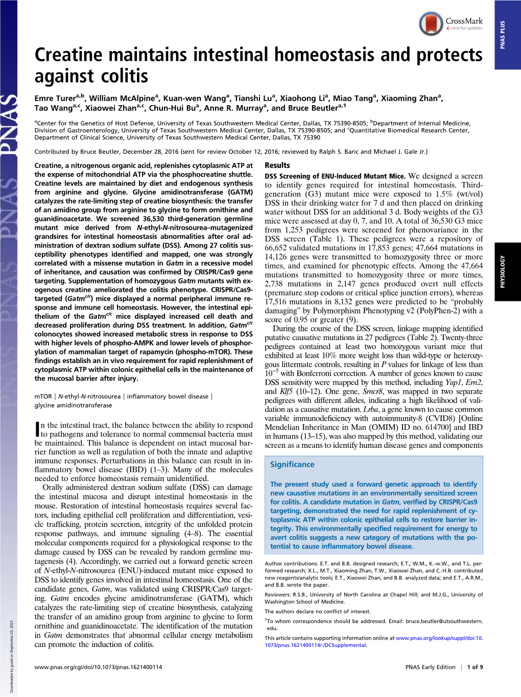 Creatine Maintains Intestinal Homeostasis and Protects Against