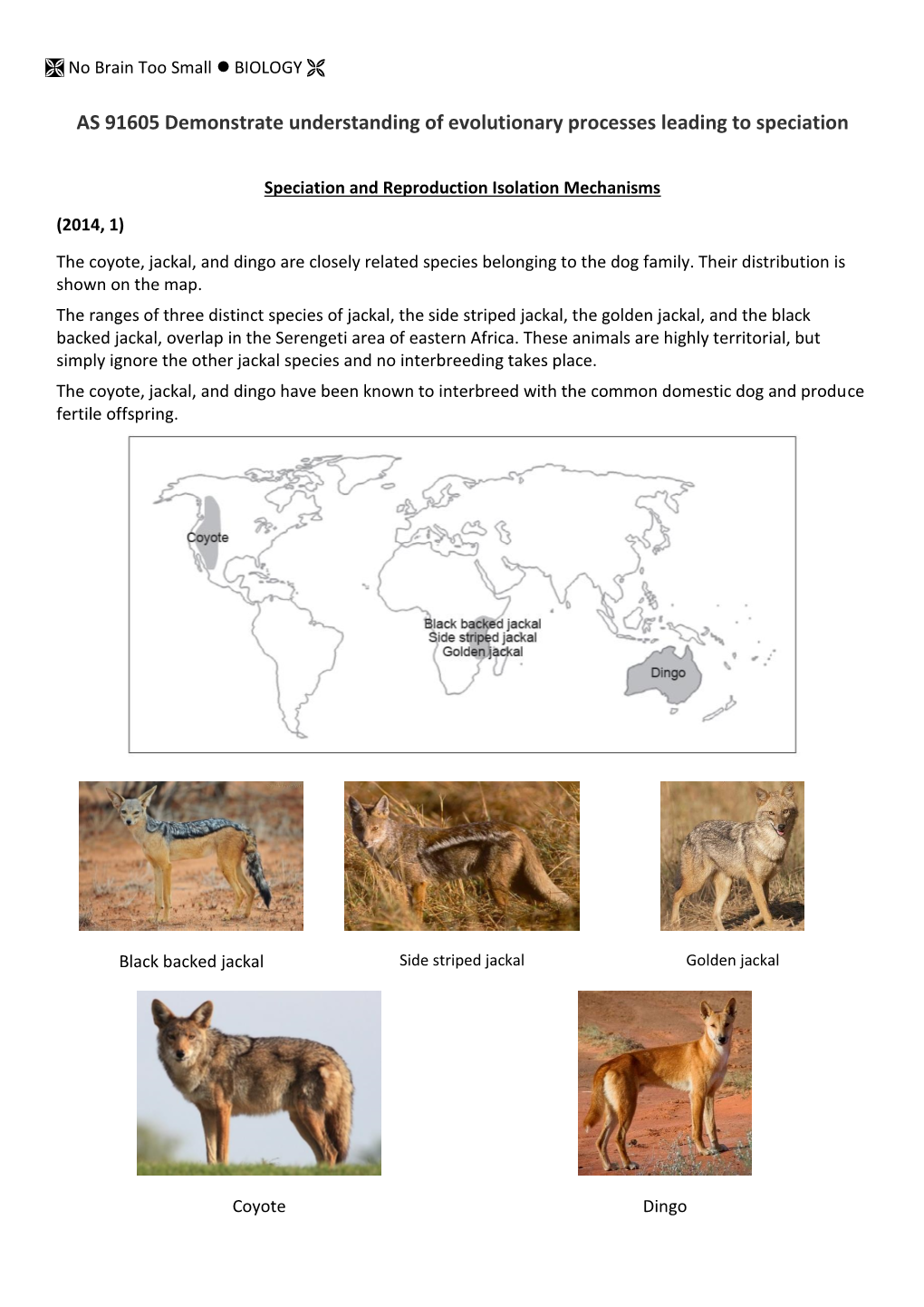 Speciation and Reproduction Isolation Mechanisms (2014, 1) the Coyote, Jackal, and Dingo Are Closely Related Species Belonging to the Dog Family