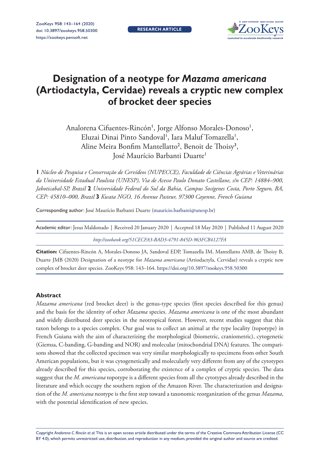 Designation of a Neotype for Mazama Americana (Artiodactyla, Cervidae) Reveals a Cryptic New Complex of Brocket Deer Species