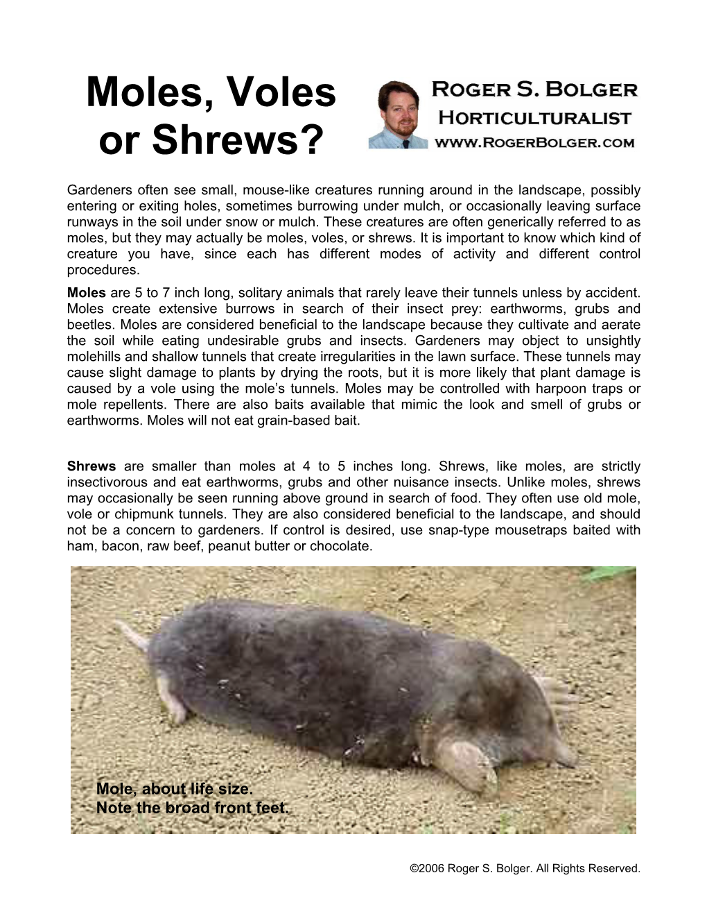 Moles, Voles Or Shrews?