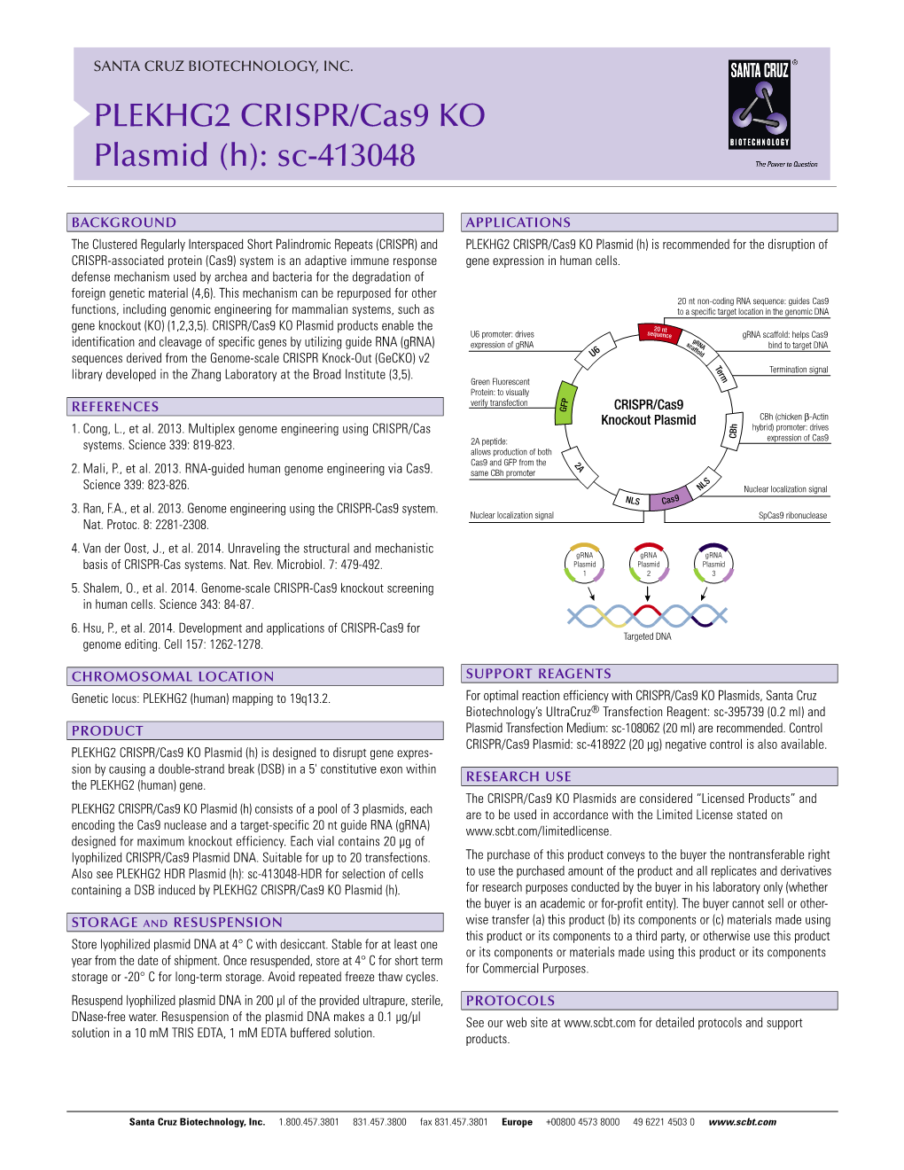 PLEKHG2 CRISPR/Cas9 KO Plasmid (H): Sc-413048
