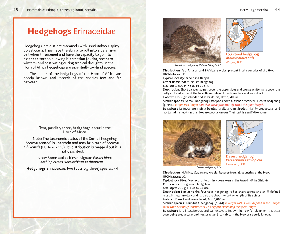 Mammals of Ethiopia, Eritrea, Djibouti, Somalia Hareslagomorpha44