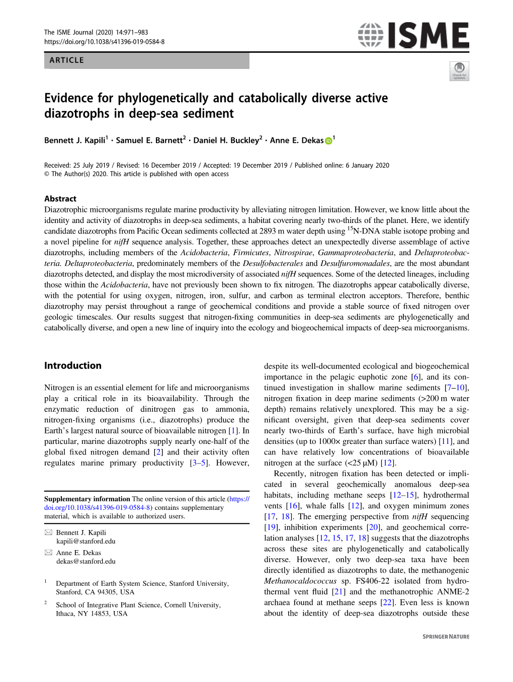 Evidence for Phylogenetically and Catabolically Diverse Active Diazotrophs in Deep-Sea Sediment