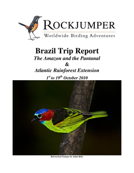 Brazil Trip Report the Amazon and the Pantanal & Atlantic Rainforest Extension