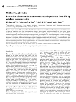Protection of Normal Human Reconstructed Epidermis from UV By