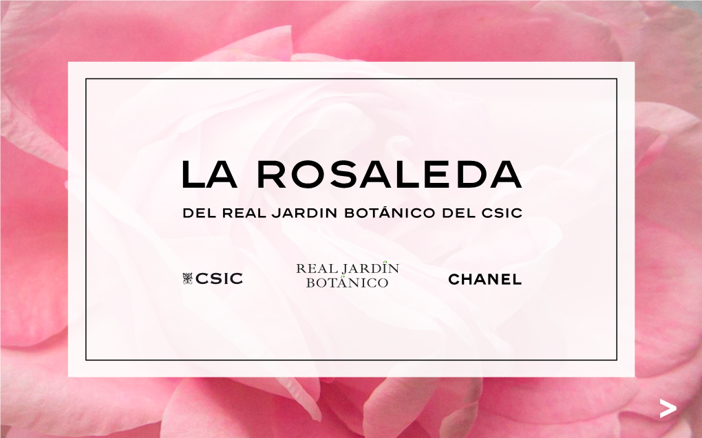 La Rosaleda Del RJB Y Chanel