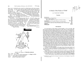 A Study of the Fishes of Utah' Fine Blac H Setae