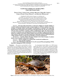 Acanthochelys Pallidipectoris (Freiberg 1945) – Chaco Side-Necked Turtle
