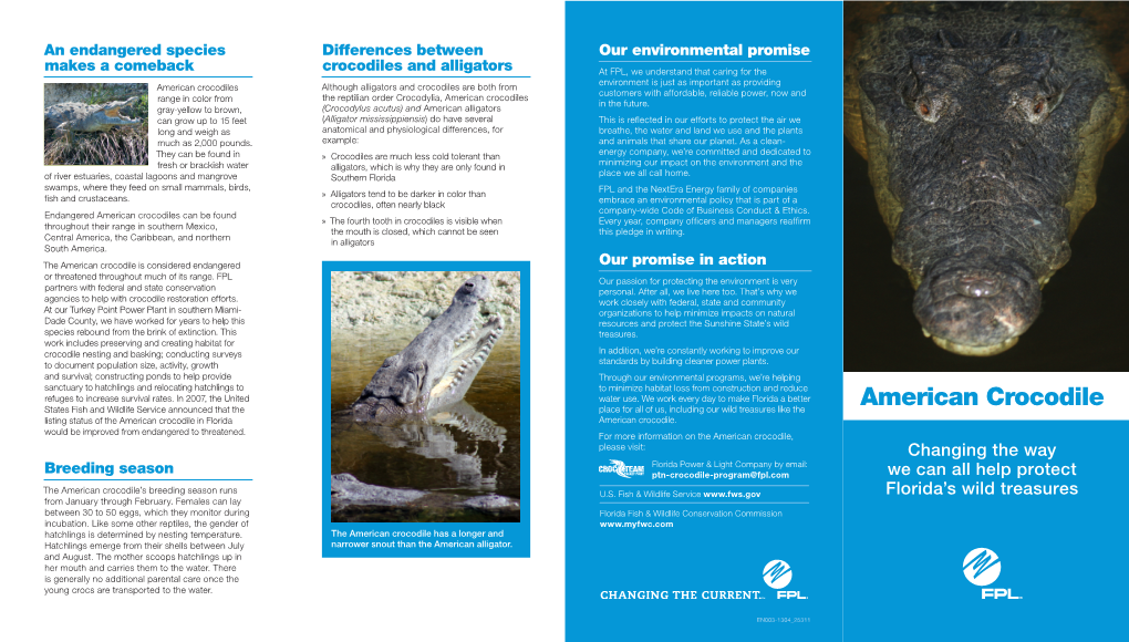 American-Crocodile.Pdf