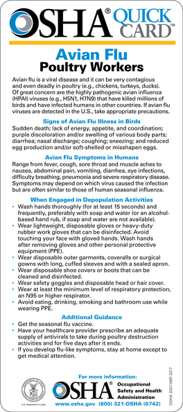 Avian Flu | Poultry Workers