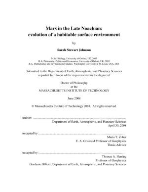 Mars in the Late Noachian: Evolution of a Habitable Surface Environment
