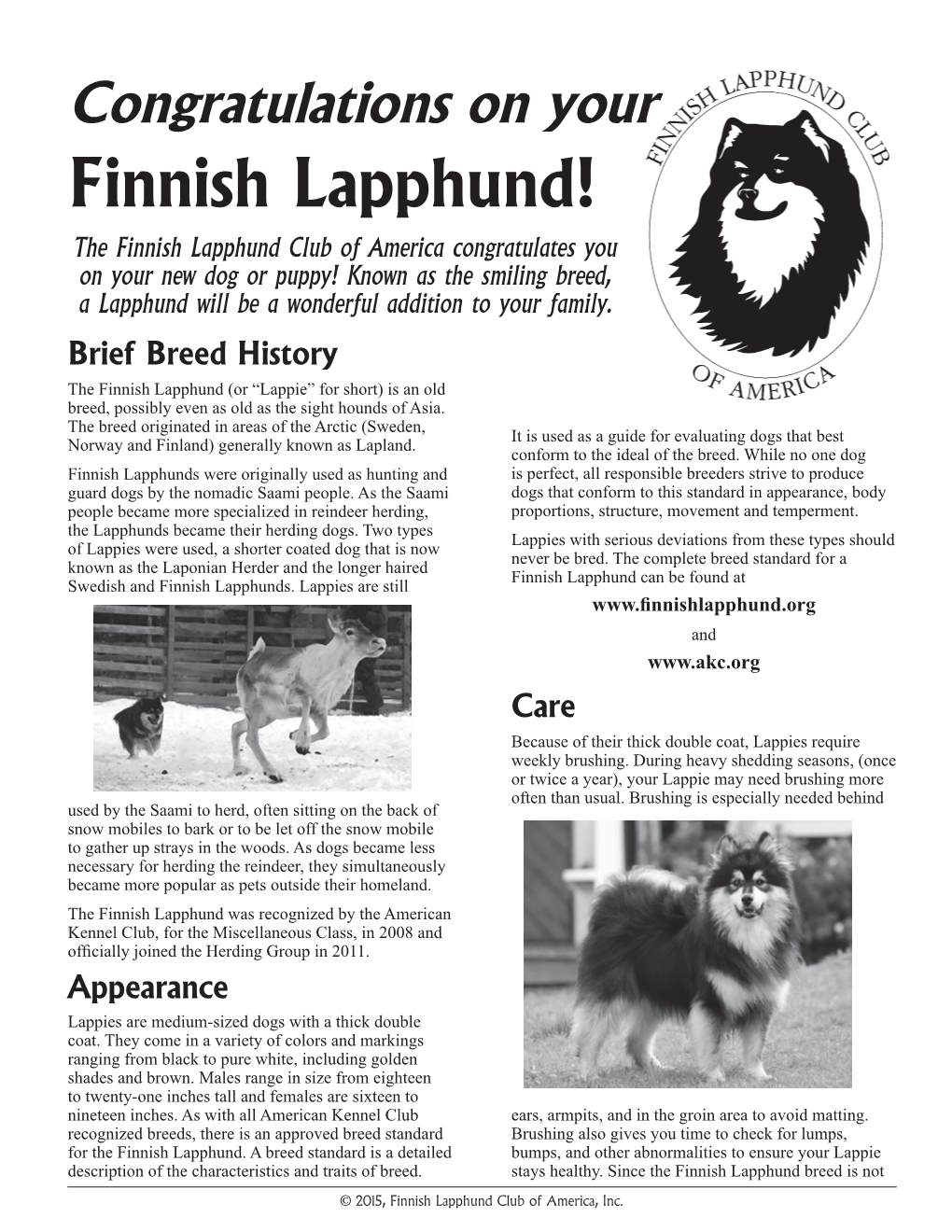 Finnish Lapphund Breed Brochure