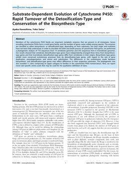 Substrate-Dependent Evolution of Cytochrome P450: Rapid Turnover of the Detoxification-Type and Conservation of the Biosynthesis-Type