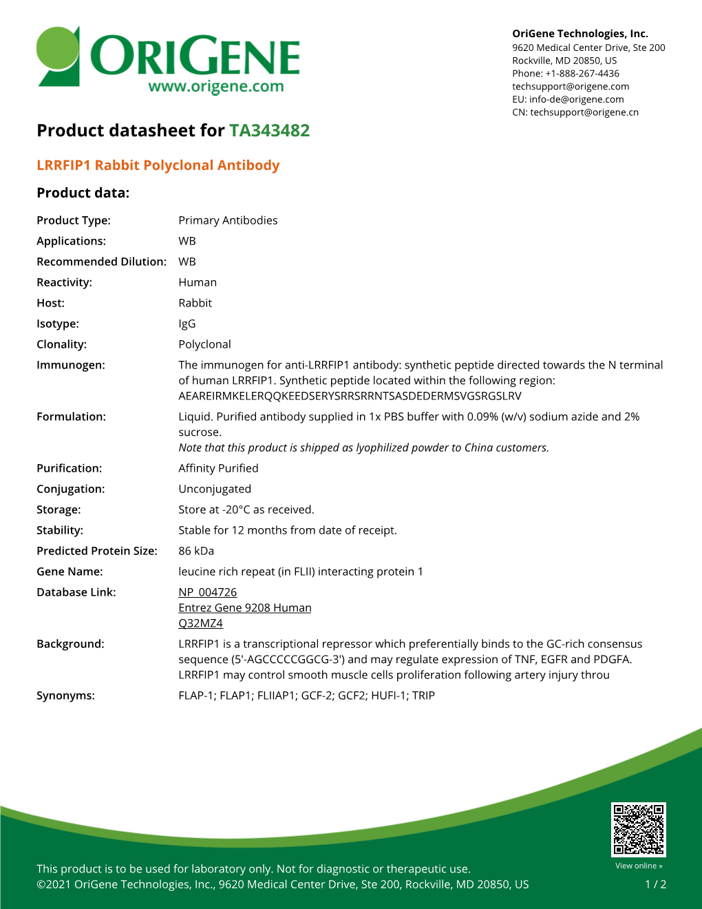 LRRFIP1 Rabbit Polyclonal Antibody – TA343482 | Origene