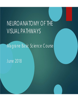 Neuroanatomy of the Visual Pathways